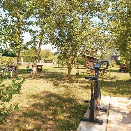 Il Kiwi * San Giovanni Alla Vena